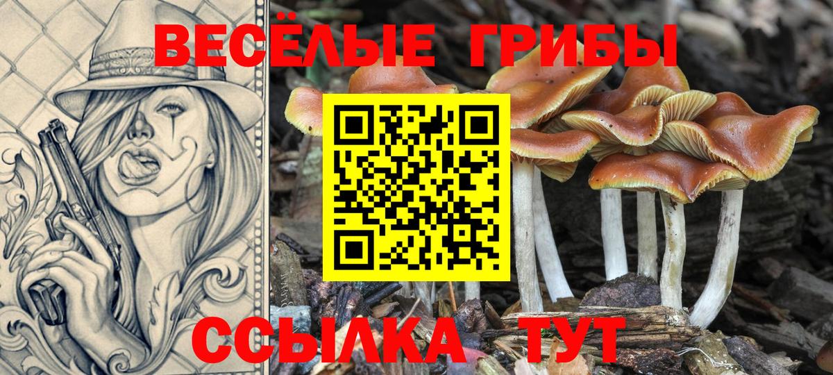 Галлюциногенные грибы прущие грибы  Вход с VPN  Псилоцибиновые грибы ЛСД  Хасавюрт 
